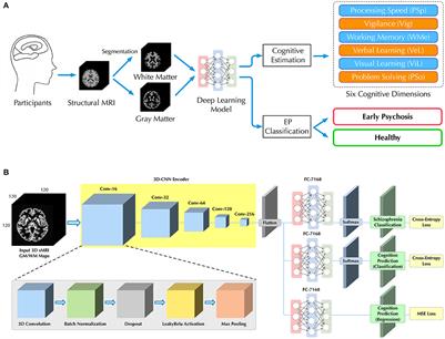 Bridging structural MRI with cognitive function for individual level classification of early psychosis via deep learning